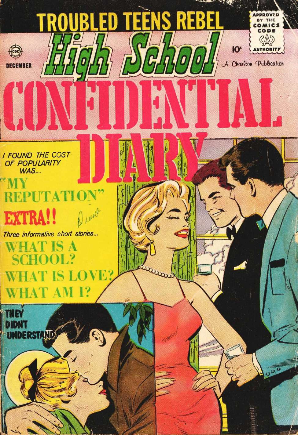 Book Cover For High School Confidential Diary 4