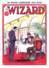 Cover For The Wizard 659