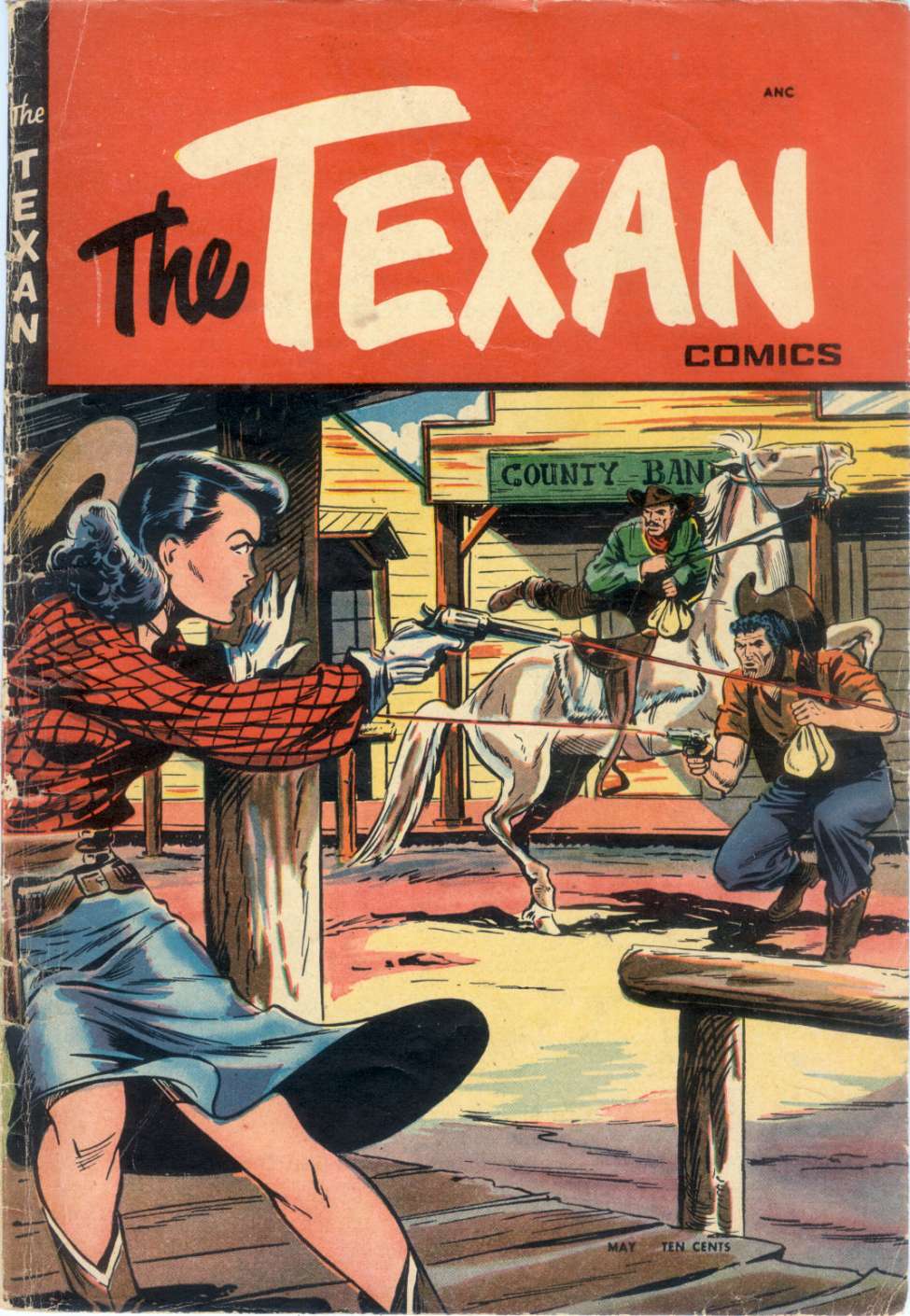Book Cover For The Texan 4