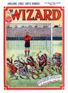 Cover For The Wizard 779