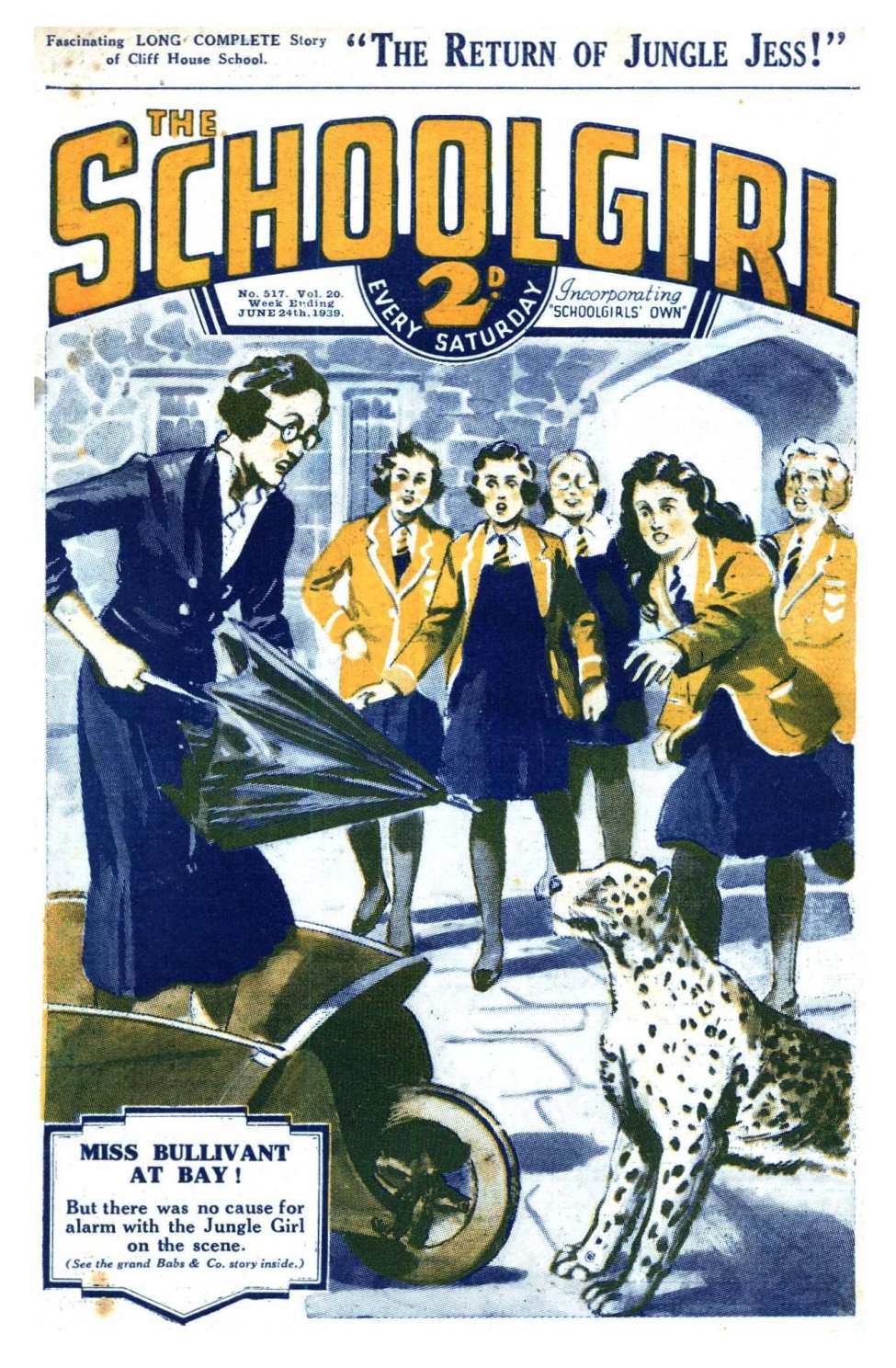 Book Cover For The Schoolgirl 517