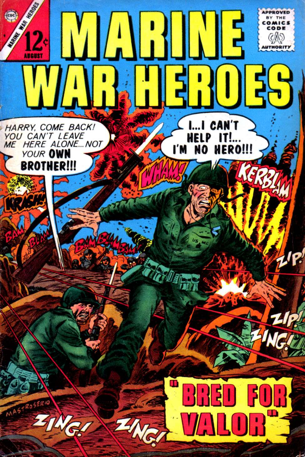 Book Cover For Marine War Heroes 9