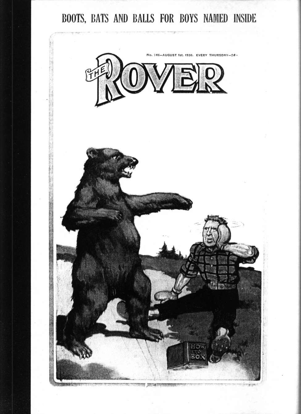 Book Cover For The Rover 746
