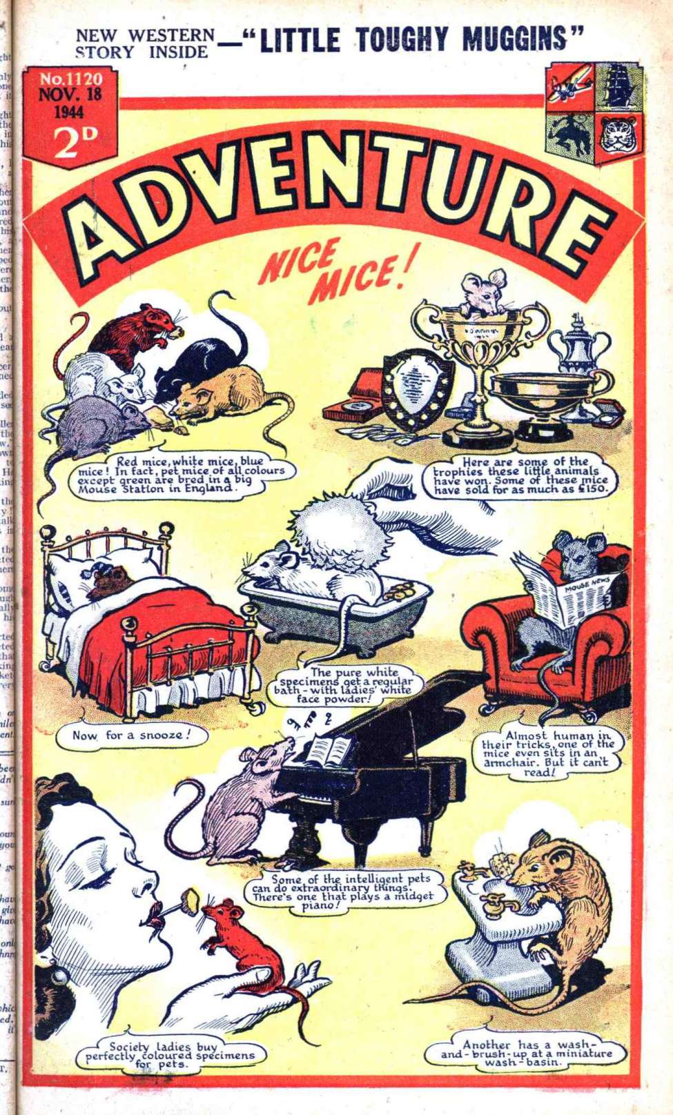 Comic Book Cover For Adventure 1120