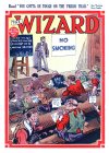 Cover For The Wizard 780