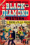 Cover For Black Diamond Western 44