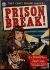 Cover For Prison Break! 4