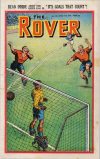 Cover For The Rover 1134