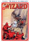 Cover For The Wizard 781