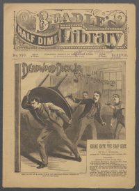 Large Thumbnail For Beadle's Half Dime Library 710 - Deadwood Dick Jr. in San Francisco
