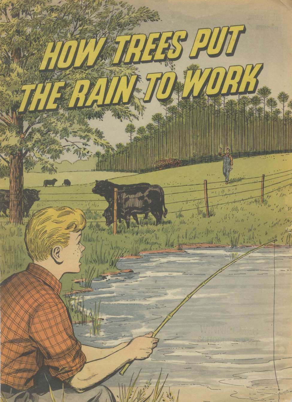 Book Cover For How Trees Put the Rain to Work