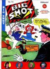 Cover For Big Shot 74