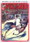 Cover For The Wizard 861