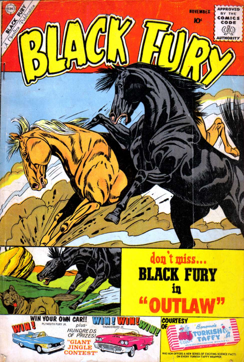 Book Cover For Black Fury 27