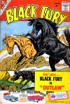 Cover For Black Fury 27