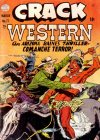 Cover For Crack Western 77