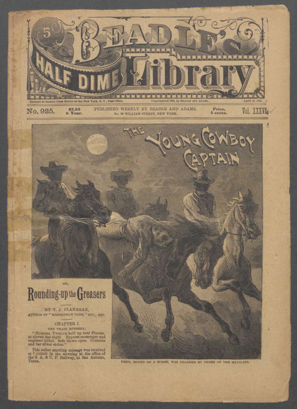 Book Cover For Beadle's Half Dime Library 925 - The Young Cowboy Captain