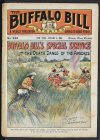 Cover For Buffalo Bill Stories 243 - Buffalo Bill on Special Service