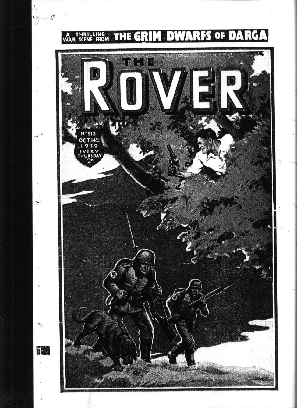 Book Cover For The Rover 913