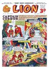 Cover For Lion 63