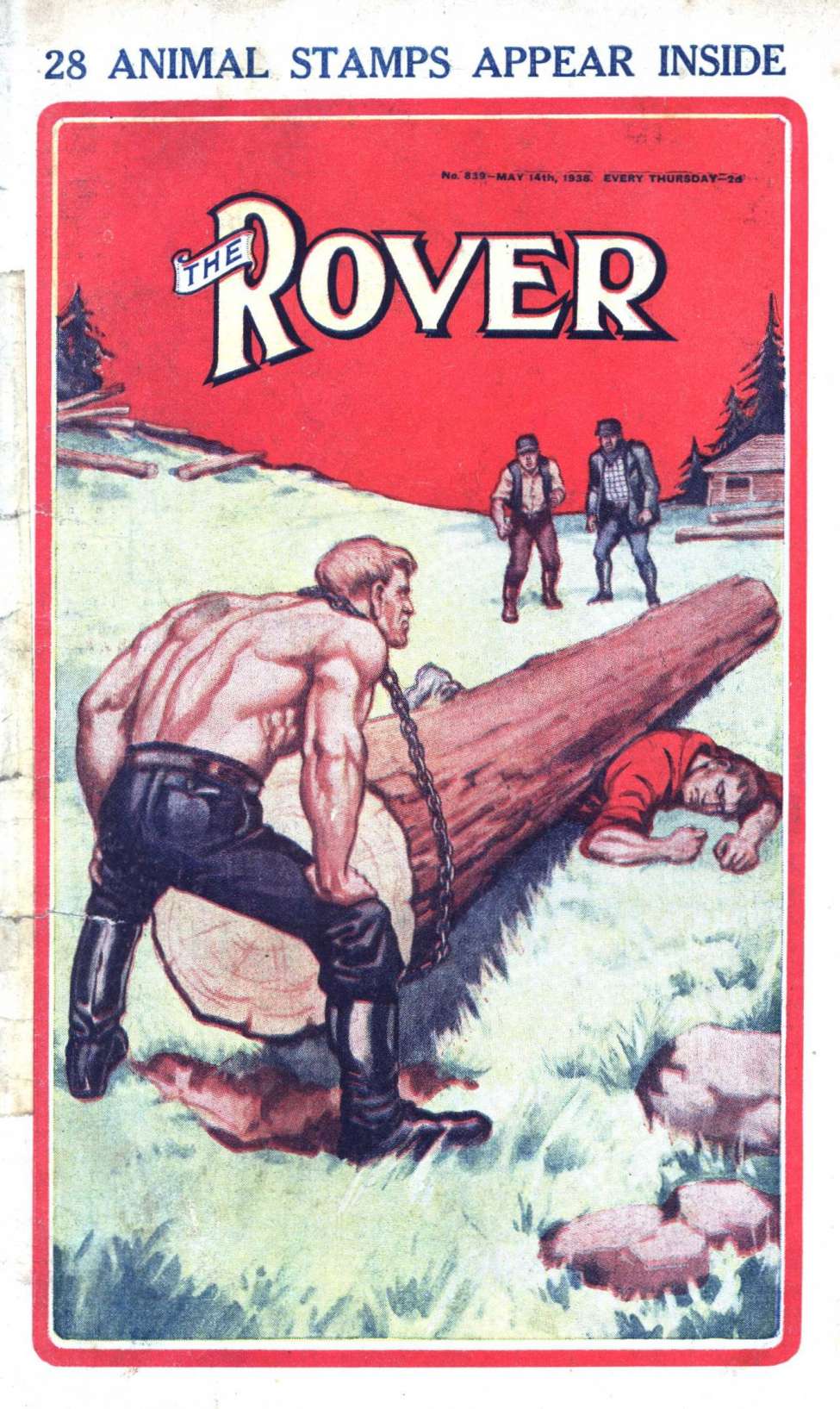 Book Cover For The Rover 839