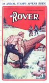 Cover For The Rover 839