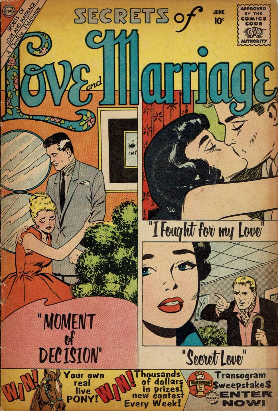 Book Cover For Secrets of Love and Marriage 19