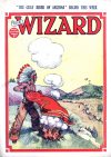 Cover For The Wizard 554