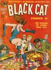 Cover For Black Cat 3