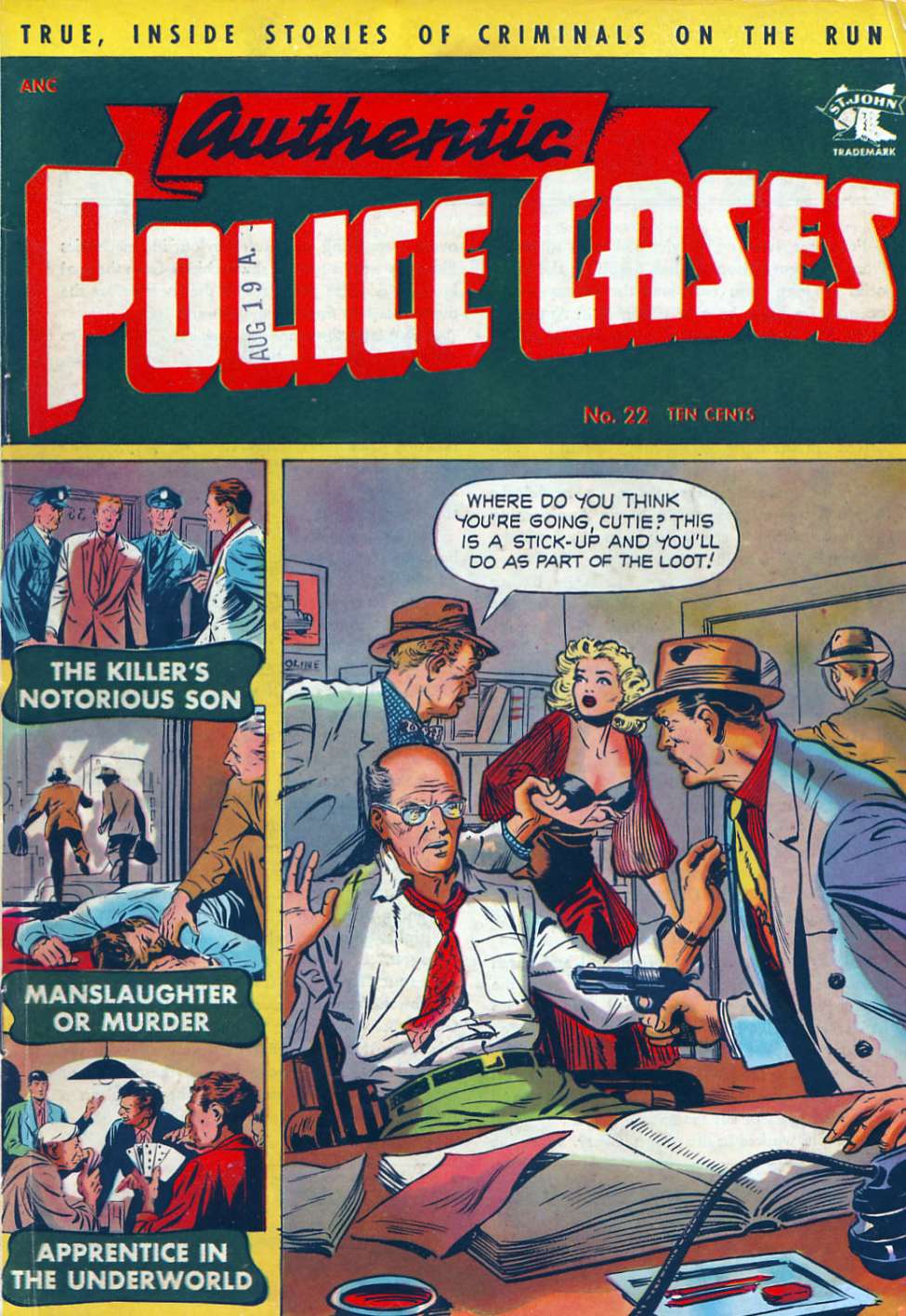 Book Cover For Authentic Police Cases 22