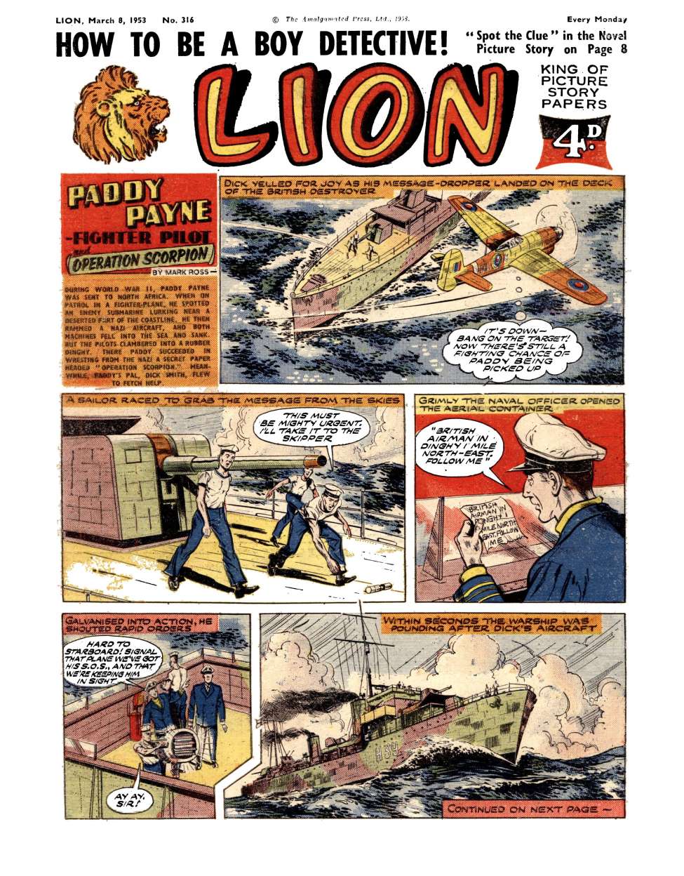 Book Cover For Lion 316