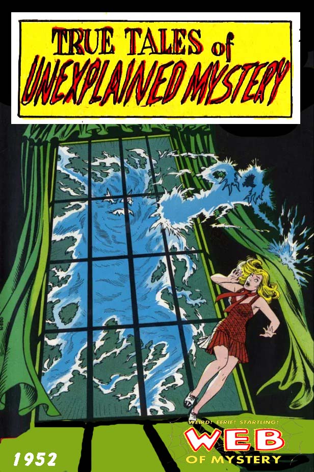 Book Cover For True Tales of Unexplained Mystery