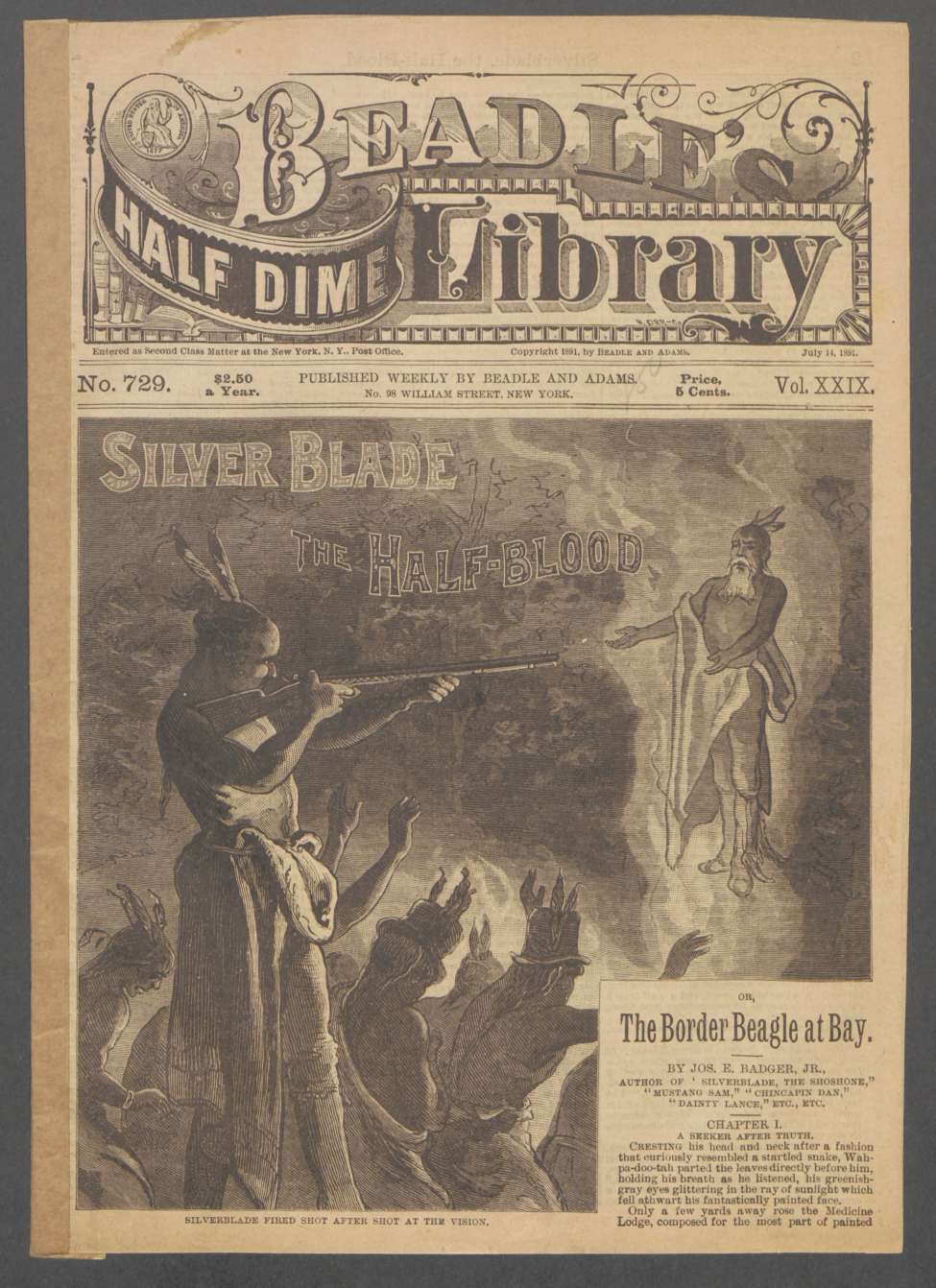 Book Cover For Beadle's Half Dime Library 729 - Silver Blade, the Half-Blood