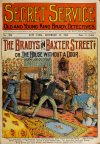 Cover For Secret Service 204 - The Bradys in Baxter Street