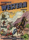 Cover For Cowboy Western 34