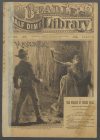Cover For Beadle's Half Dime Library 721 - Maverick Mose, the Arizona Detective