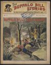Cover For Buffalo Bill Stories 5 - Buffalo Bill's Gold Guard