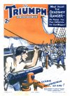 Cover For The Triumph 400 cut