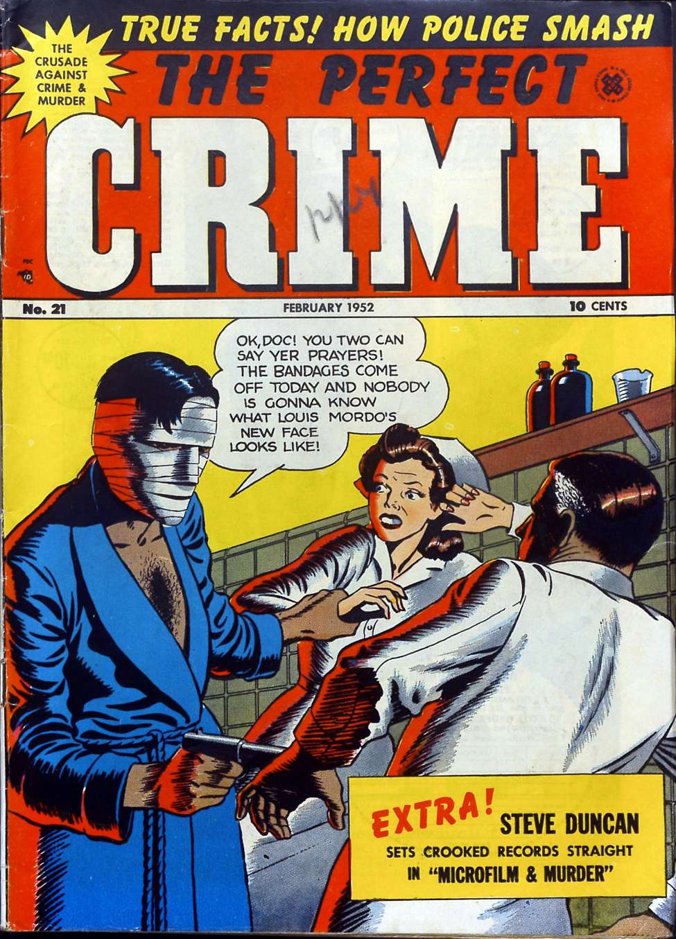 Book Cover For The Perfect Crime 21