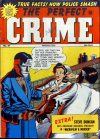 Cover For The Perfect Crime 21