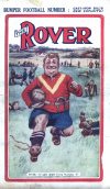 Cover For The Rover 351