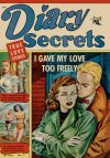 Cover For Diary Secrets 11