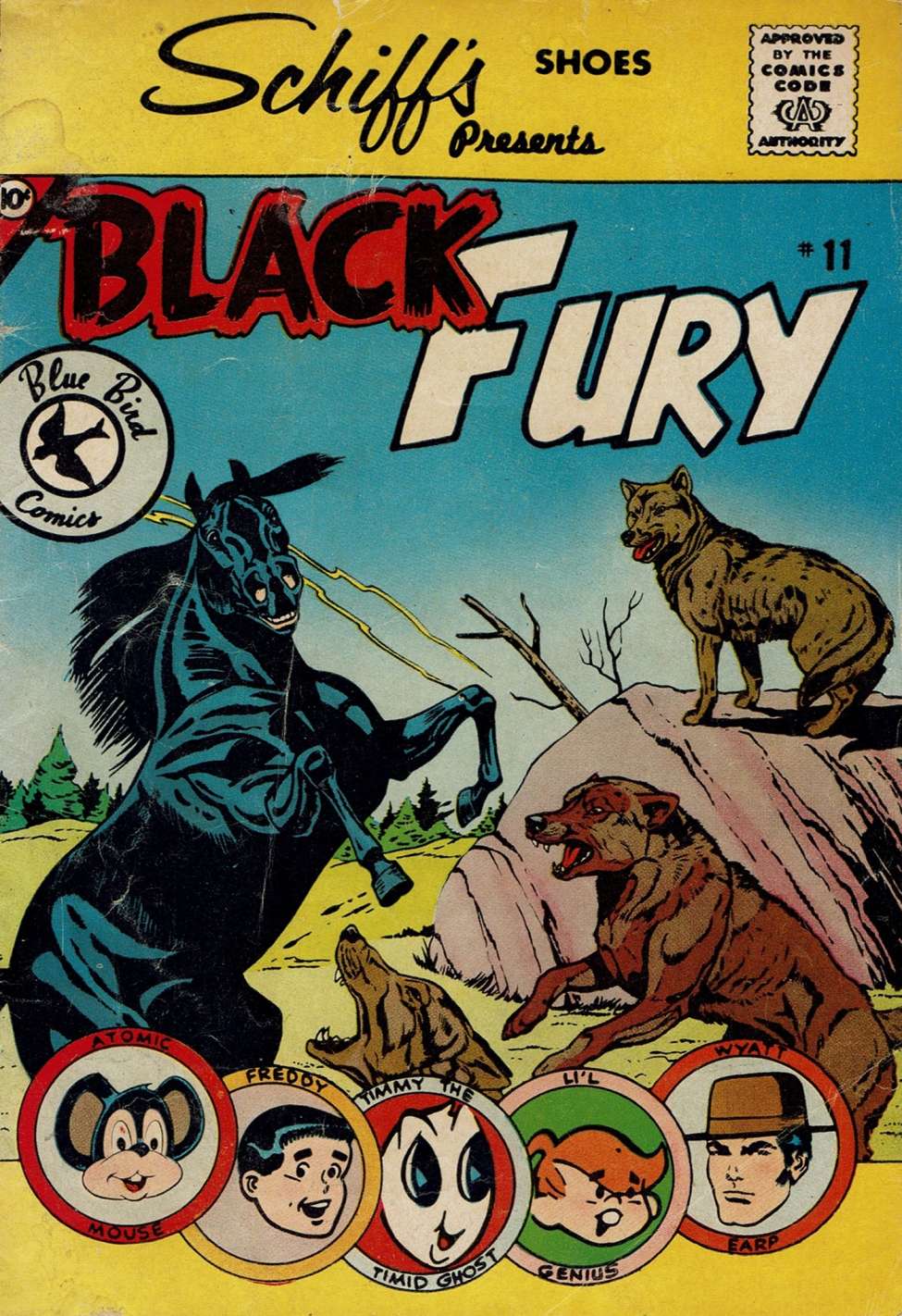 Book Cover For Black Fury 11 (Blue Bird)