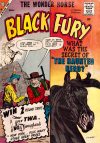 Cover For Black Fury 23
