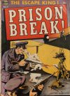 Cover For Prison Break! 5