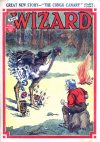 Cover For The Wizard 860