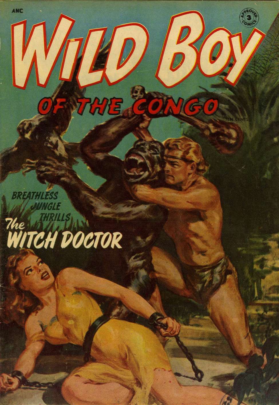 Book Cover For Approved Comics 3 - Wild Boy
