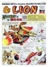 Cover For Lion 240