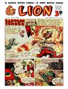 Cover For Lion 98