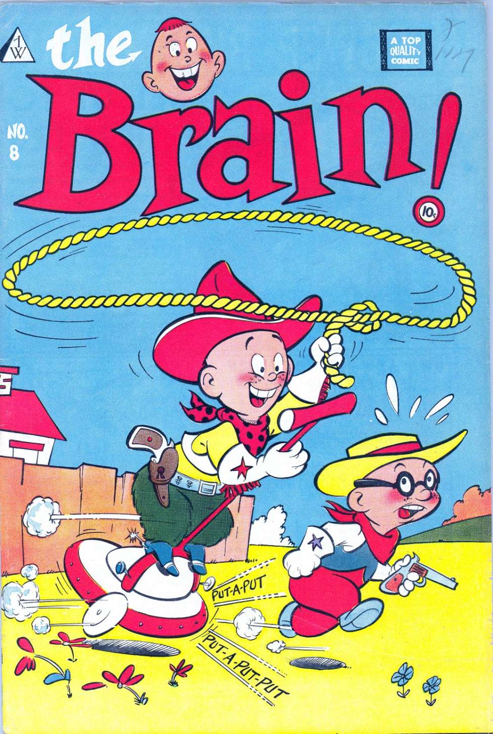 Book Cover For The Brain 8